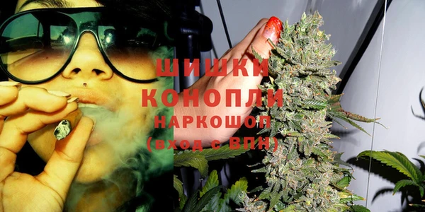 прущие грибы Протвино