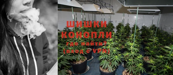 прущие грибы Протвино