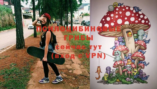 Альфа ПВП Абаза