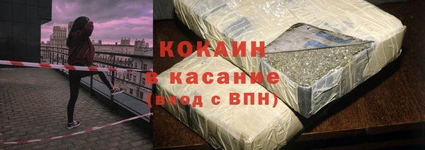 прущие грибы Протвино